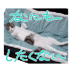 [LINEスタンプ] うちにゃんぐりちゃんの画像（メイン）