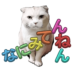 [LINEスタンプ] tantanのスタンプ5