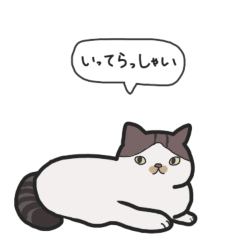 [LINEスタンプ] 白キジ猫と黒猫