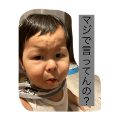 [LINEスタンプ] せがれで煽る