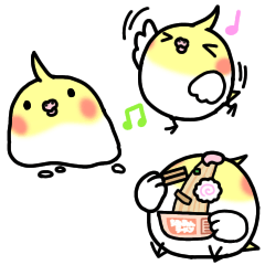 [LINEスタンプ] オカメインコのちきんちゃん☆16