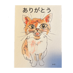 [LINEスタンプ] 日常会話♡手描き猫