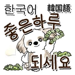 [LINEスタンプ] シーズー犬 『韓国語』の画像（メイン）