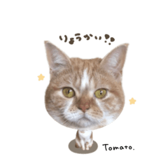 [LINEスタンプ] とまとちゃん♡deformation