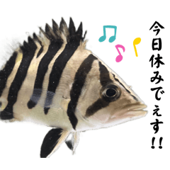 [LINEスタンプ] ダトニオの日常