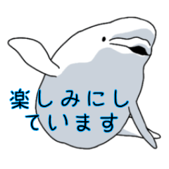 [LINEスタンプ] シロイルカのあいさつスタンプ