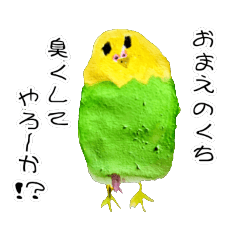 [LINEスタンプ] インコ オウム 文鳥 のスタンプ 文字縁取り