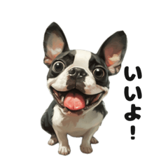 [LINEスタンプ] フレンチブルドッグ 鼻ぺちゃ犬