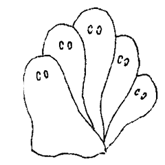 [LINEスタンプ] ghost stamp 5の画像（メイン）