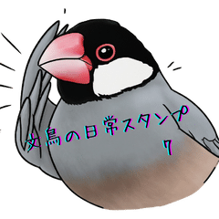 [LINEスタンプ] 文鳥の日常スタンプ 7 by oishiano