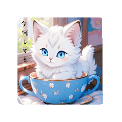 [LINEスタンプ] 可愛い白ねこのスタンプ