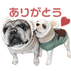 [LINEスタンプ] 我が家のフレブルたち