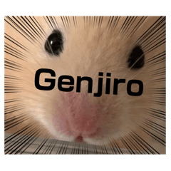 [LINEスタンプ] I am Gengiro‼︎