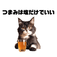 [LINEスタンプ] 酒飲みの猫スタンプ