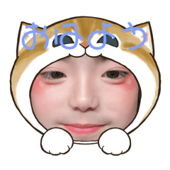 [LINEスタンプ] ふわふわ猫大好きスタンプ