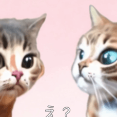 [LINEスタンプ] ⚫猫ミーム【動く】【おもろい】24匹セットの画像（メイン）