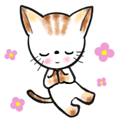 [LINEスタンプ] やさしいネコちゃん☆日常