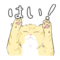 [LINEスタンプ] ネコのスタンプいろいろ