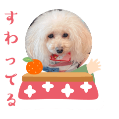 [LINEスタンプ] めるるのきゅう 日常会話