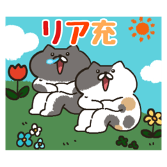 [LINEスタンプ] にゃんこ☆パラダイス