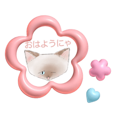 [LINEスタンプ] 【猫】ラグドール(日常会話)