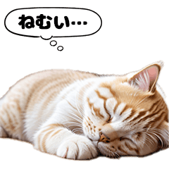 [LINEスタンプ] 猫ミーム 寝ながらしゃべる猫 帽子