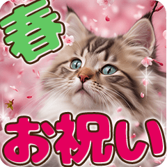 [LINEスタンプ] 卒入学・入園・就職【春のお祝い】猫と桜♡