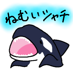 [LINEスタンプ] ねむいシャチ【日常会話】