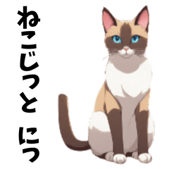 [LINEスタンプ] ねこじっと にっ