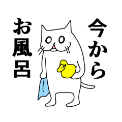 [LINEスタンプ] 日常使い出来る白猫スタンプ