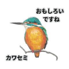 [LINEスタンプ] 日本の野鳥敬語スタンプ 修正版