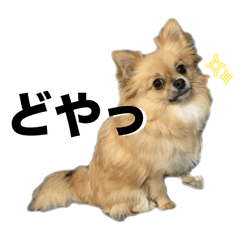 [LINEスタンプ] 毎日ポテチに癒される