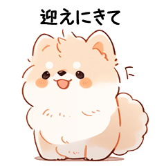 [LINEスタンプ] 甘え上手なポメラニアン