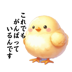 [LINEスタンプ] ヒヨコピヨリ