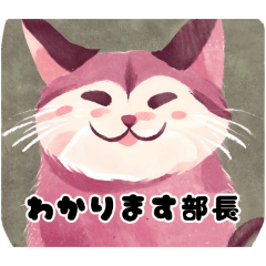 [LINEスタンプ] 猫も日常