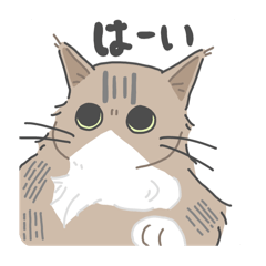 [LINEスタンプ] シュネーとネーベルのスタンプ