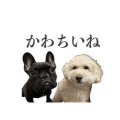 [LINEスタンプ] ムウロンスタンプ