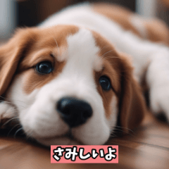 [LINEスタンプ] 愛犬のキュートな瞬間