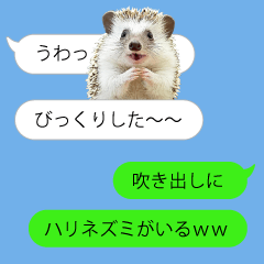 [LINEスタンプ] ハリネズミがいる吹き出し