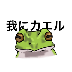 [LINEスタンプ] 我々はカエル