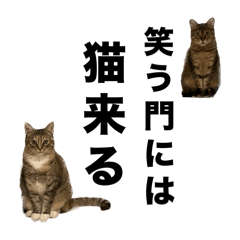 [LINEスタンプ] まるズの色々集。