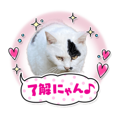 [LINEスタンプ] 風巻すたんぷ