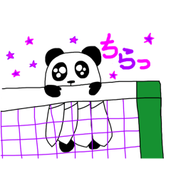 [LINEスタンプ] バドミントンパンダさん 基本の日常