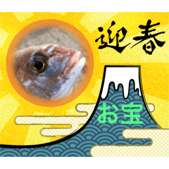 [LINEスタンプ] おさかなパワー‼️:Re