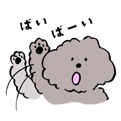 [LINEスタンプ] ゆるっとトイプードル。シルバーver.