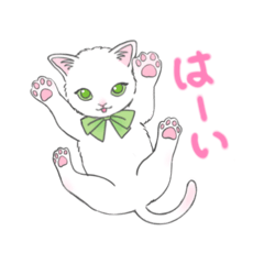 [LINEスタンプ] リボンと子猫