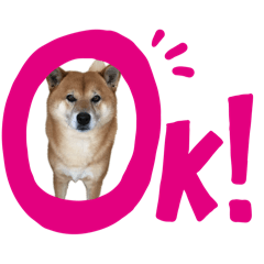 [LINEスタンプ] 柴犬さだはる