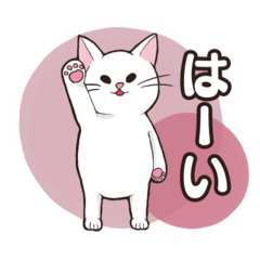 [LINEスタンプ] うちのねこ達は今日も元気