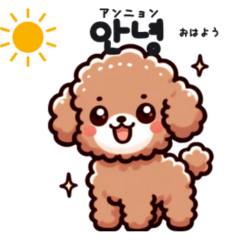 [LINEスタンプ] トイプードルの韓国語スタンプ.rev