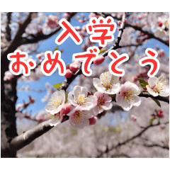 [LINEスタンプ] 春の一言2